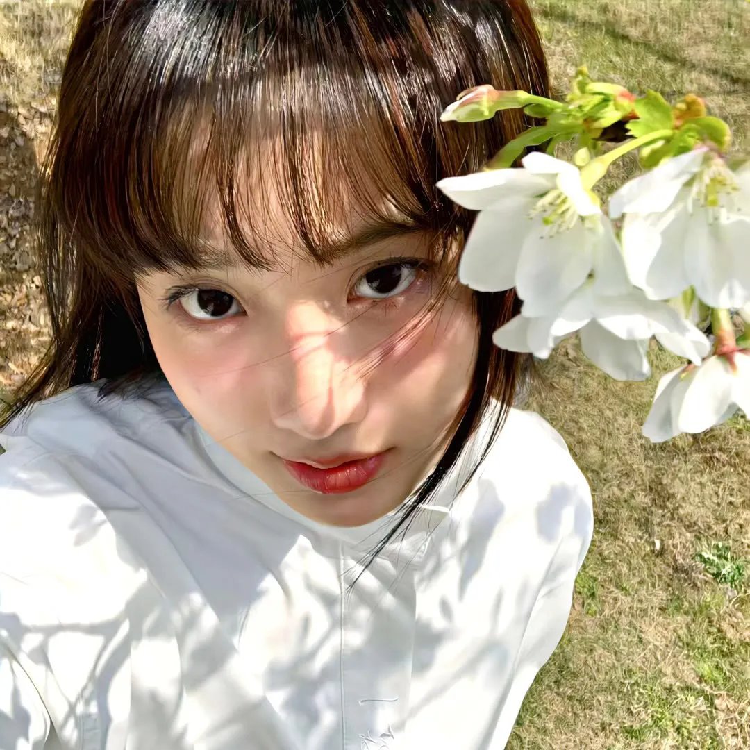霸王花